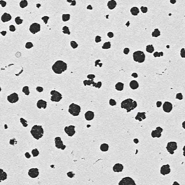 DTB Production Lot Testing (PLT) Production Lot Testing Microphotograph